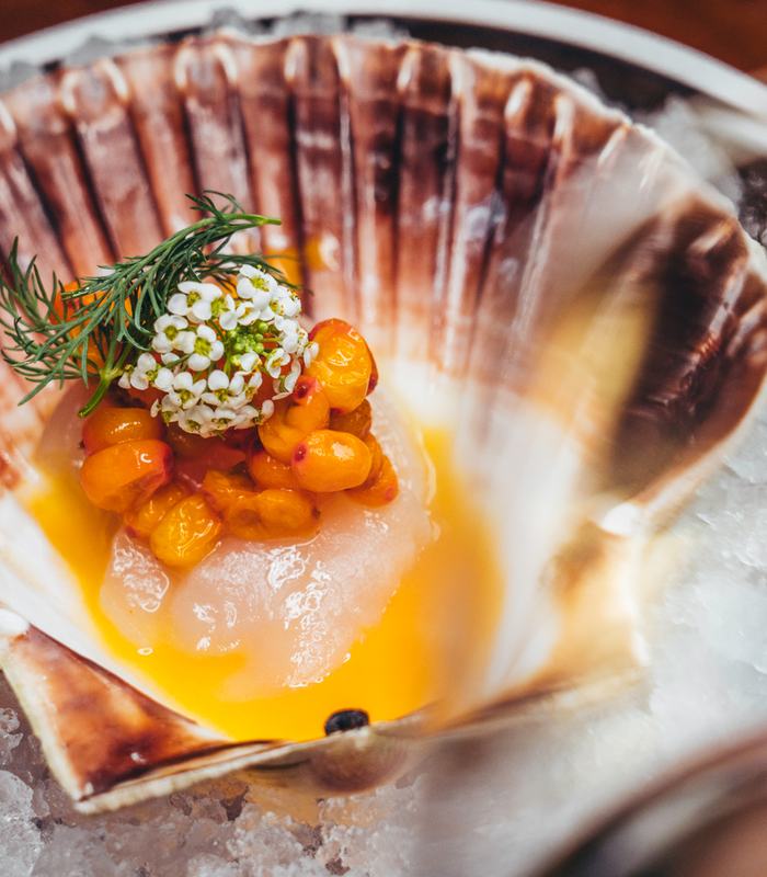 Kamskjell Ceviche